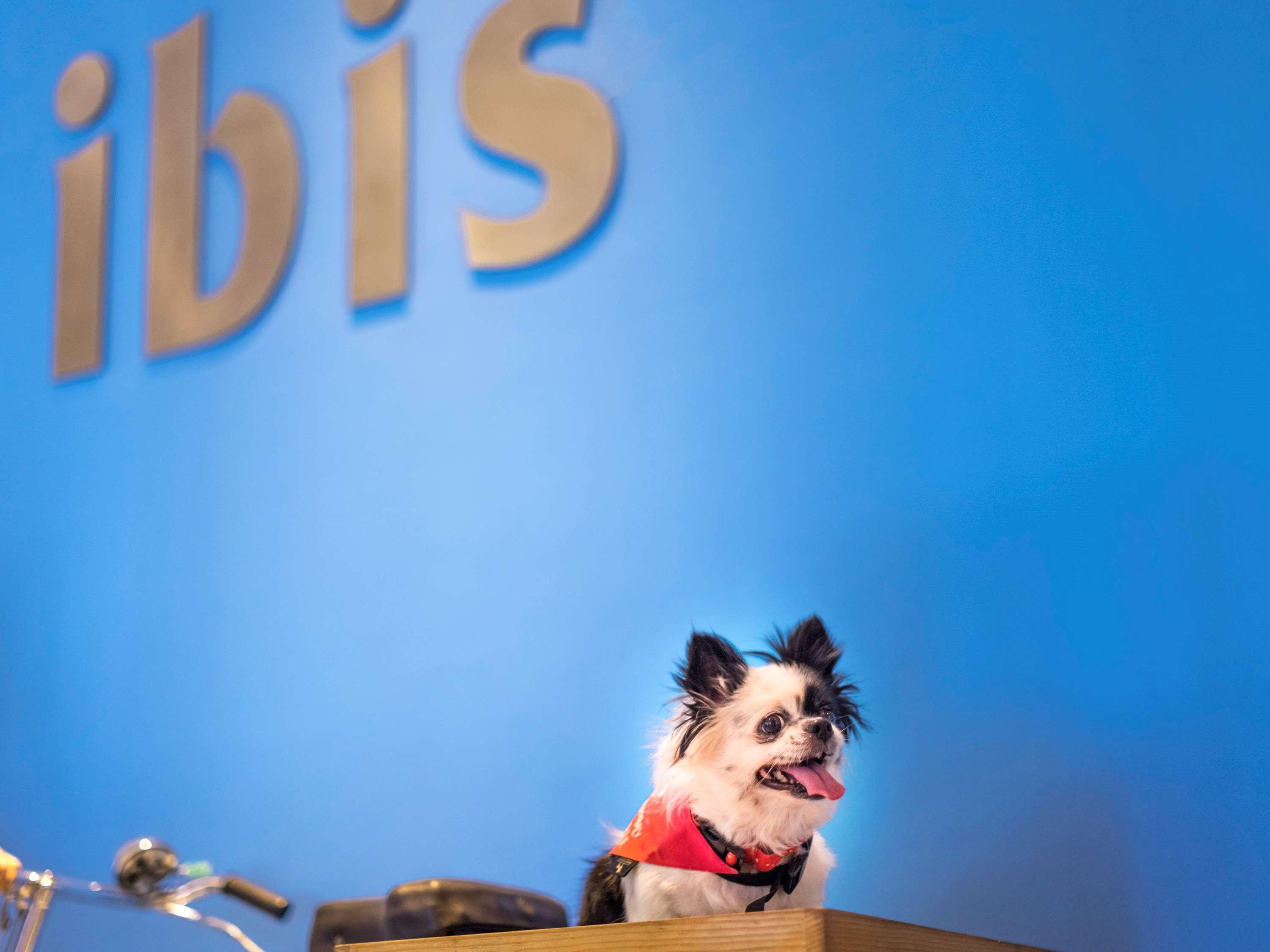Ibis Hyderabad Hitec City - An Accor Brand Exterior photo